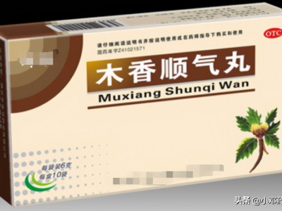 木香顺气丸的功效与作用(开胸顺气丸和木香顺气丸区别)