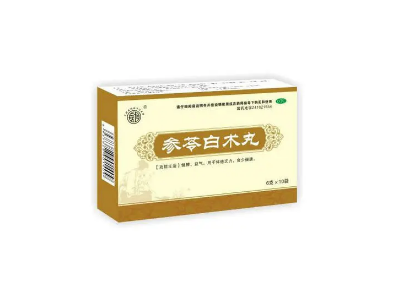 参苓白术丸的功效与作用（参苓白术丸去湿气吗）