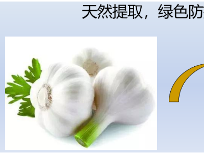 大蒜素注射液有哪些用法（大蒜素针剂哪里有卖怎么制成）