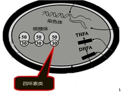 四环素软膏的作用和功效（四环素软膏有什么效果）