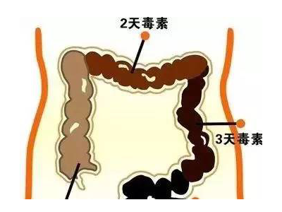 分子肽的作用是什么(小分子肽对人体有什么好处)