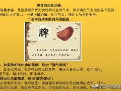 如何提升脾胃功能「增强人体阳气？」这几个方法，让你的脾胃更健康