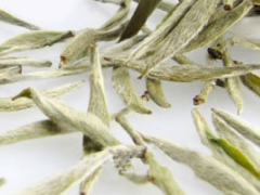 白茶的种类，白茶有哪些