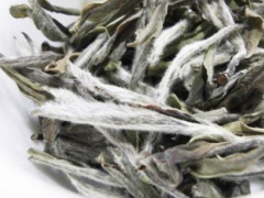 白茶的功效与作用