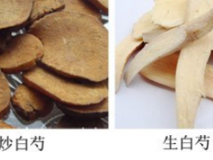 生白芍的功效与作用
