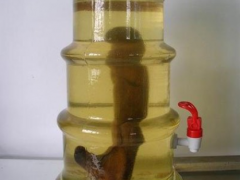 高丽参怎么泡酒