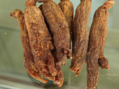 高丽参虽好 也存在禁忌和副作用