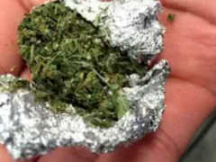 大麻对我们的生理危害有哪些