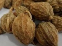 益智仁的功效 小心益智仁的副作用