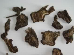 川乌头和草乌头都有哪些区别