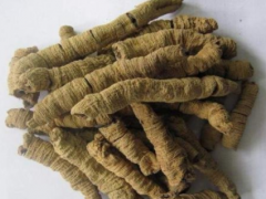 巴戟天的药用功效有哪些