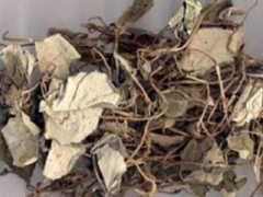 金钱草的作用和药用功效