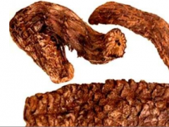 肉苁蓉怎么吃 这样吃肉苁蓉效果好