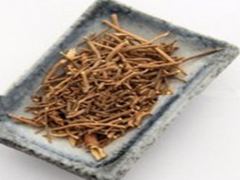 白微的功效和用药禁忌要注意