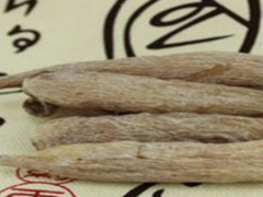 紫茉莉根是什么 有什么功效