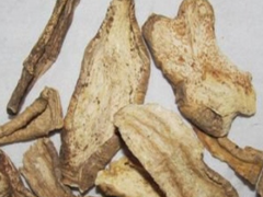 山海螺的功效与药用价值