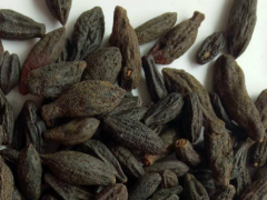 黄蜀葵子的药理用途介绍