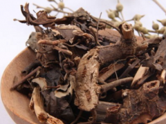 肿节风的药理用途具体介绍
