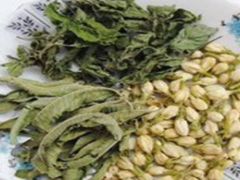 马鞭草茶的制作方法和功效