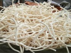 小通草的食用药膳方法介绍