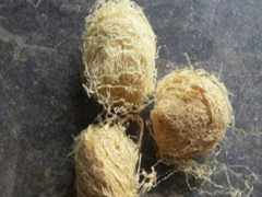 竹茹的四大功效与作用