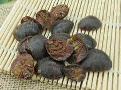为大家介绍土鳖虫的药用价值