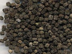 蚕砂的药用功效及治疗疾病方法