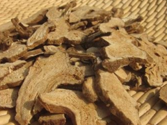 麻黄根和麻黄的区别 教你区分方法