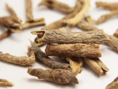 五加皮的功效与作用及禁忌