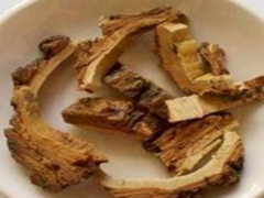 椿皮是什么 有什么药用功效