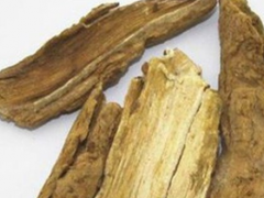 地骨皮的功效与主治功能