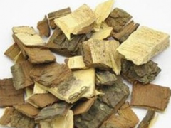 苦楝皮是什么 有什么禁忌和毒副作用