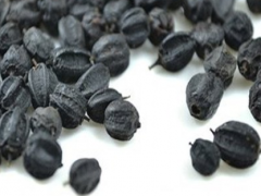 刺五加的食用方法和副作用介绍