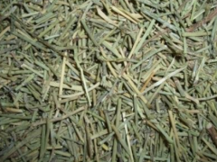 麻黄和麻黄根的区别有哪些