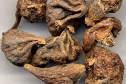 山慈菇的功效与作用