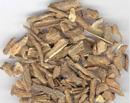 地骨皮的功效与作用