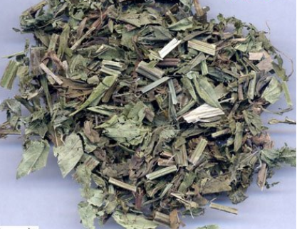 泽兰的功效与作用