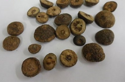 枳实的功效与作用