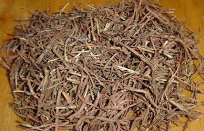 茜草的功效与作用