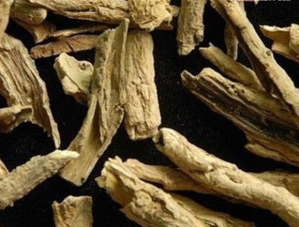 枸杞根的功效与作用