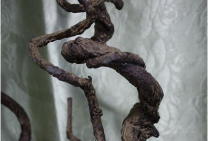 过江龙的功效与作用
