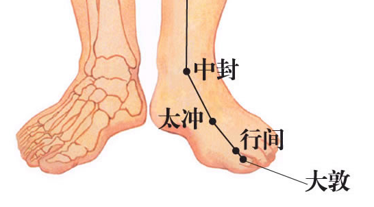 大敦穴位位置图 专家教你轻松定位大敦穴