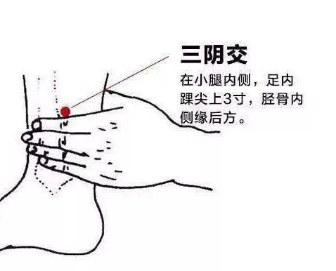 三阴交位位置图 三阴交位知识大详解