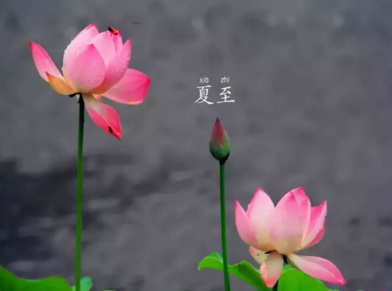 夏至是什么意思 夏至是气象的重要标志