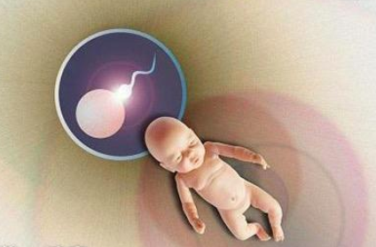 精子成活率低是怎么回事 揭秘导致精子成活率低的原因