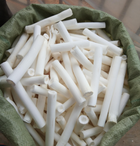 通草怎么吃