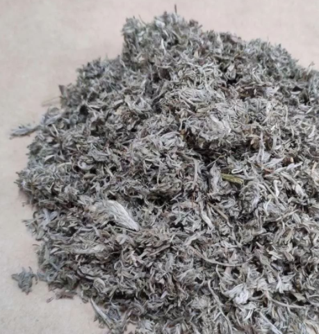 茵陈蒿能降血糖吗