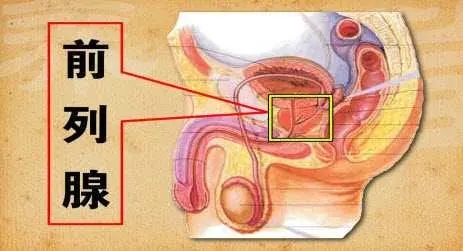 细菌前列腺可以治好吗 常见治疗方案有六种