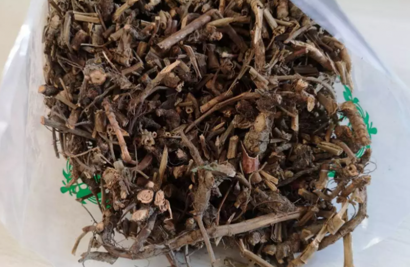 虫牙药的功效与作用