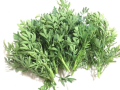 芸香草的功效与作用